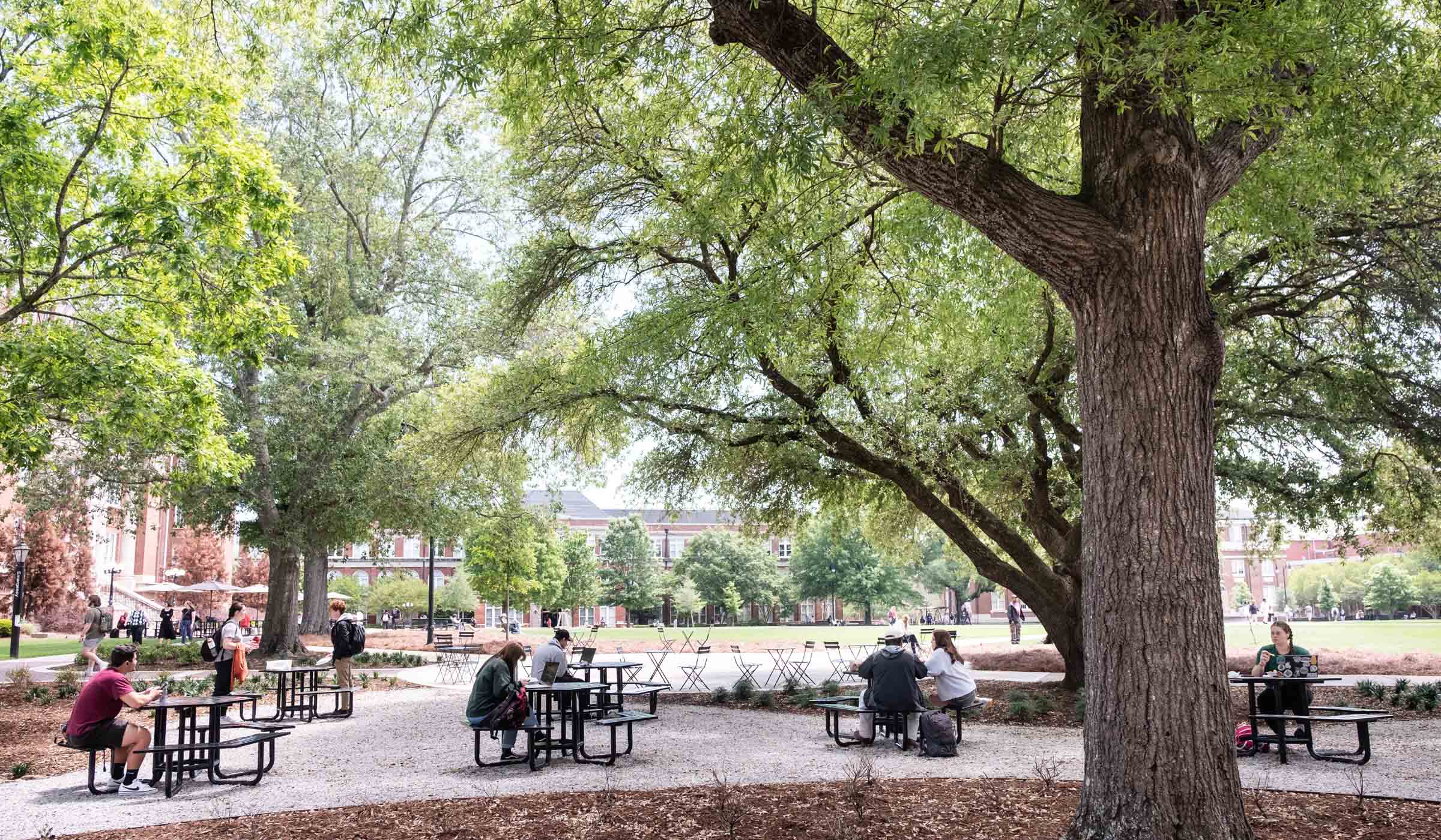 With a leafy green tree canopy overhead, students fill the picnic tables arranged around the recently created Colvard Campground.