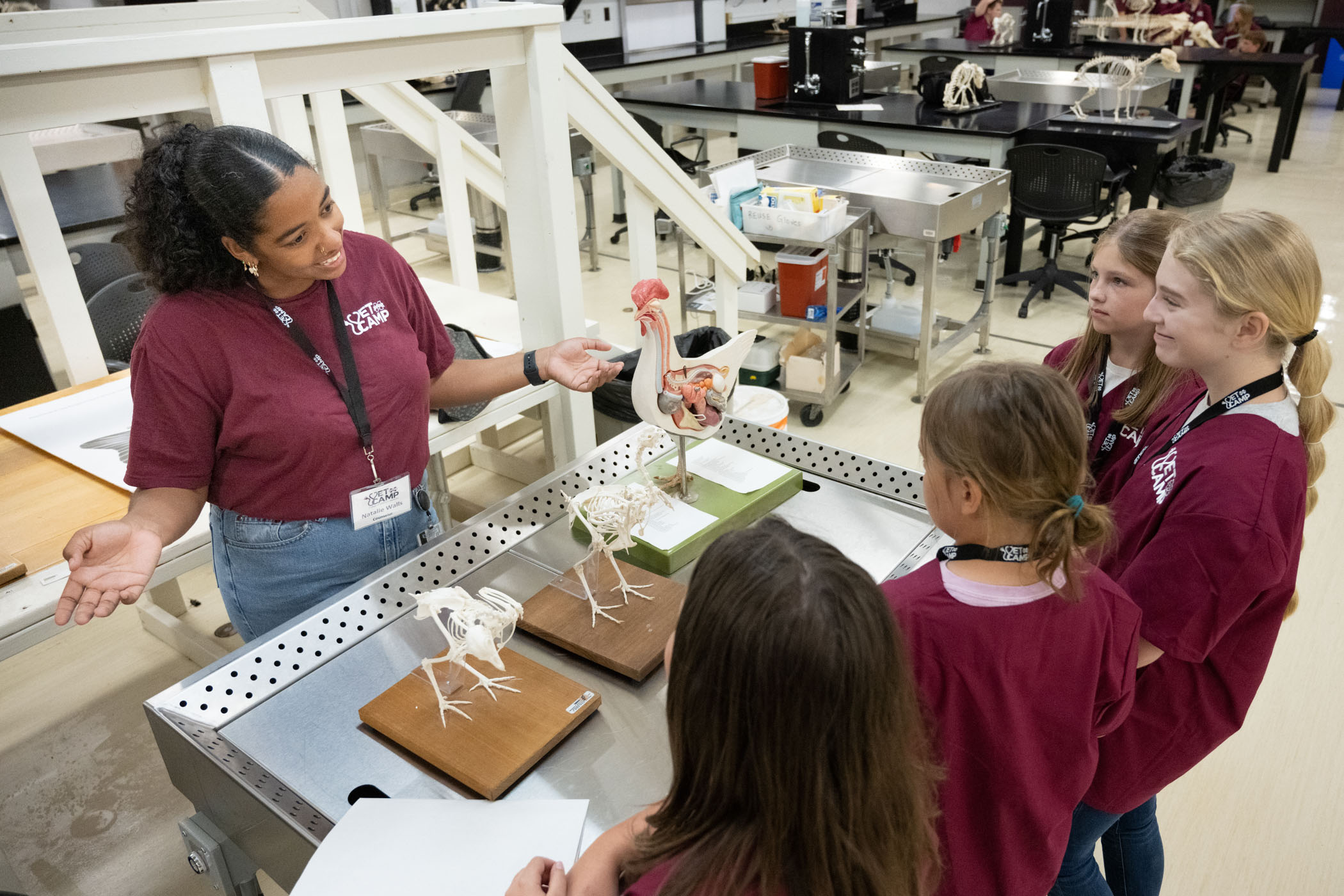 Natalie Walls, a camp counselor at MSU College of Veterinary Medicine, explains the internal anatomy of chickens to campers participating in MSU&#039;s annual Vet Camp.