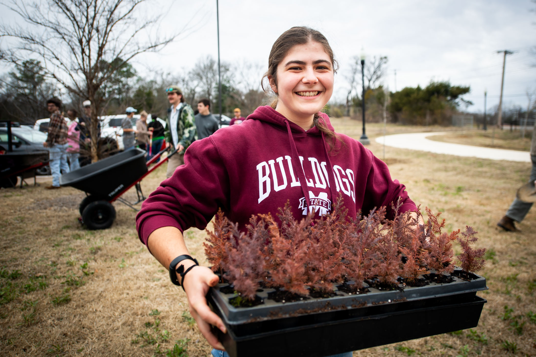 MSU faculty, staff and students join together to celebrate Arbor Day and the university’s 12th year as a Tree Campus Higher Education designation by planting nearly 140 large hardwoods along the walkway behind College View Apartments