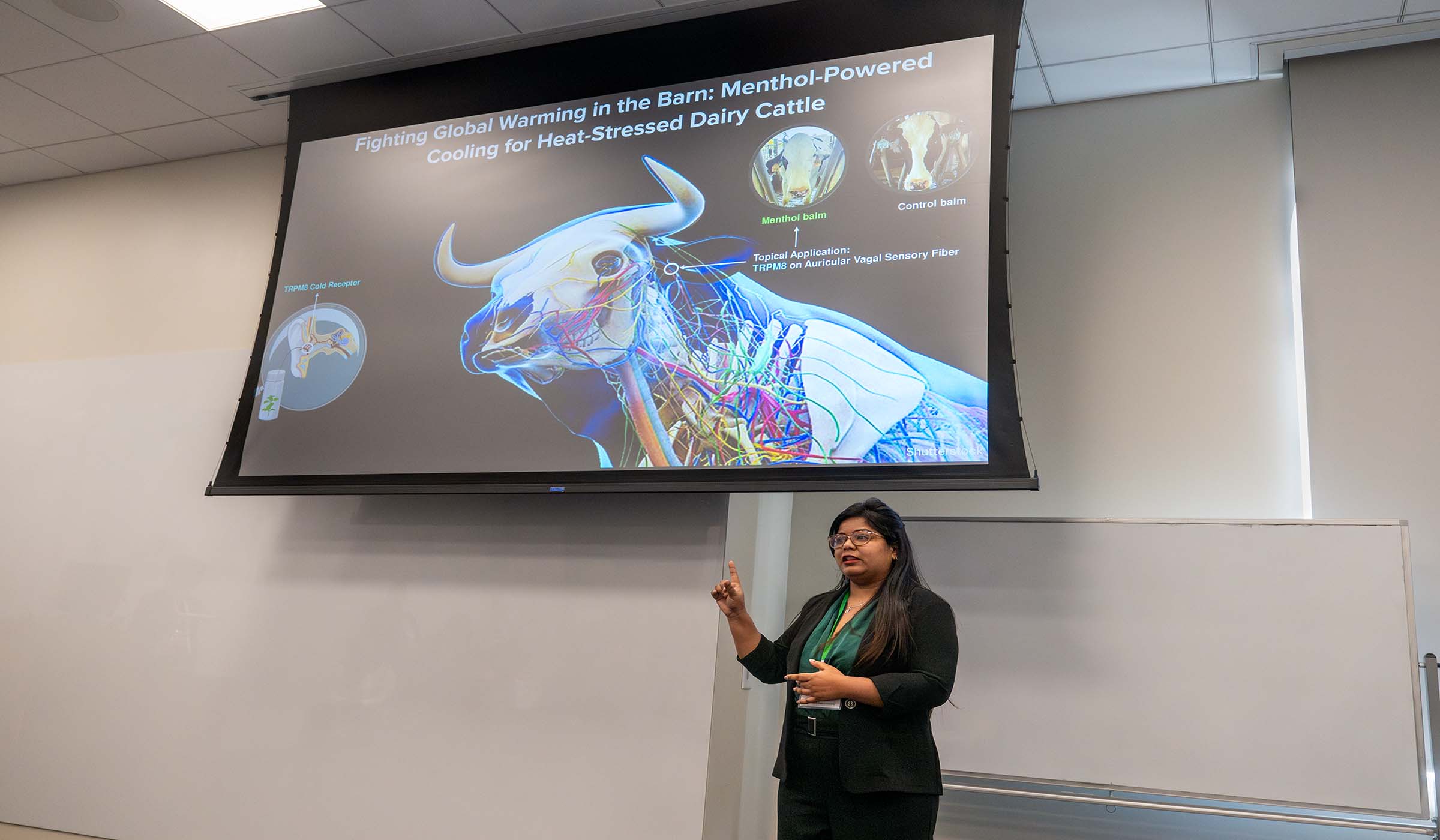 Himani Joshi, a PhD candidate in MSU's College of Agriculture and Life Sciences, presents her 3-Minute Thesis at the Conference of Southern Graduate Schools in Dallas, Texas. The conference's purpose is to consider topics relating to graduate study and research which are of mutual interest to the member institutions.