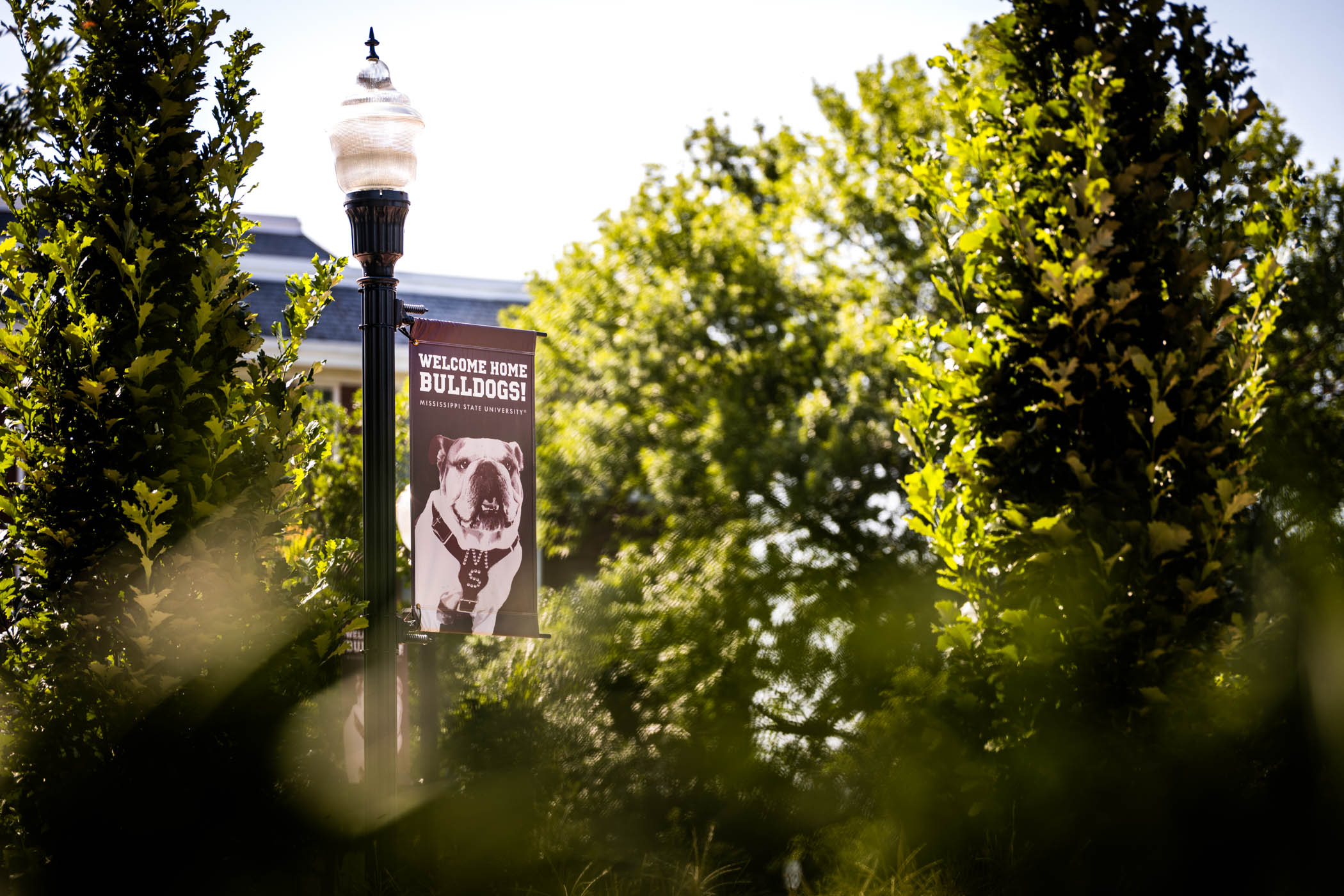 New banners along YMCA Plaza welcome incoming Freshmen to campus at summer orientation sessions, inviting new bulldogs and their families for an up close and personal Mississippi State experience. This month, MSU Orientation has hosted eight sessions for the incoming class of 2030, with this week wrapping up available two-day sessions.