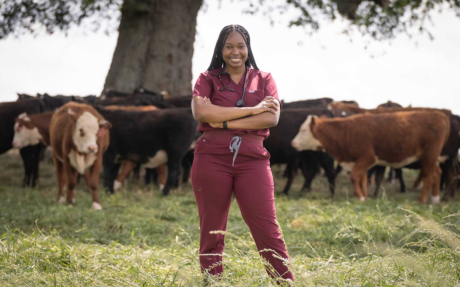 Young woman standing in front of cattle in a field