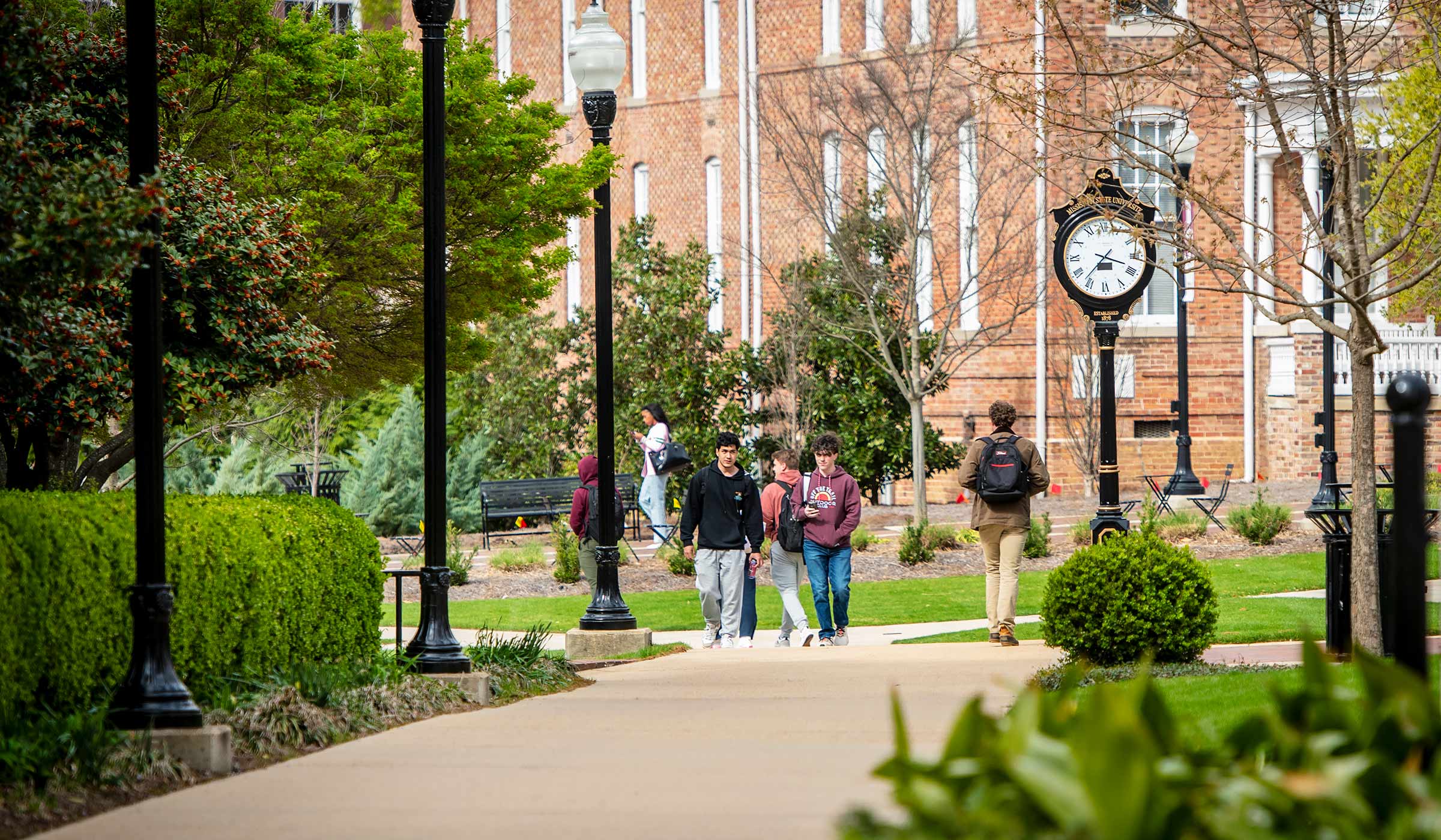 Students in sweatshirts and pants walking down sidewalk with lush green colors on either side.