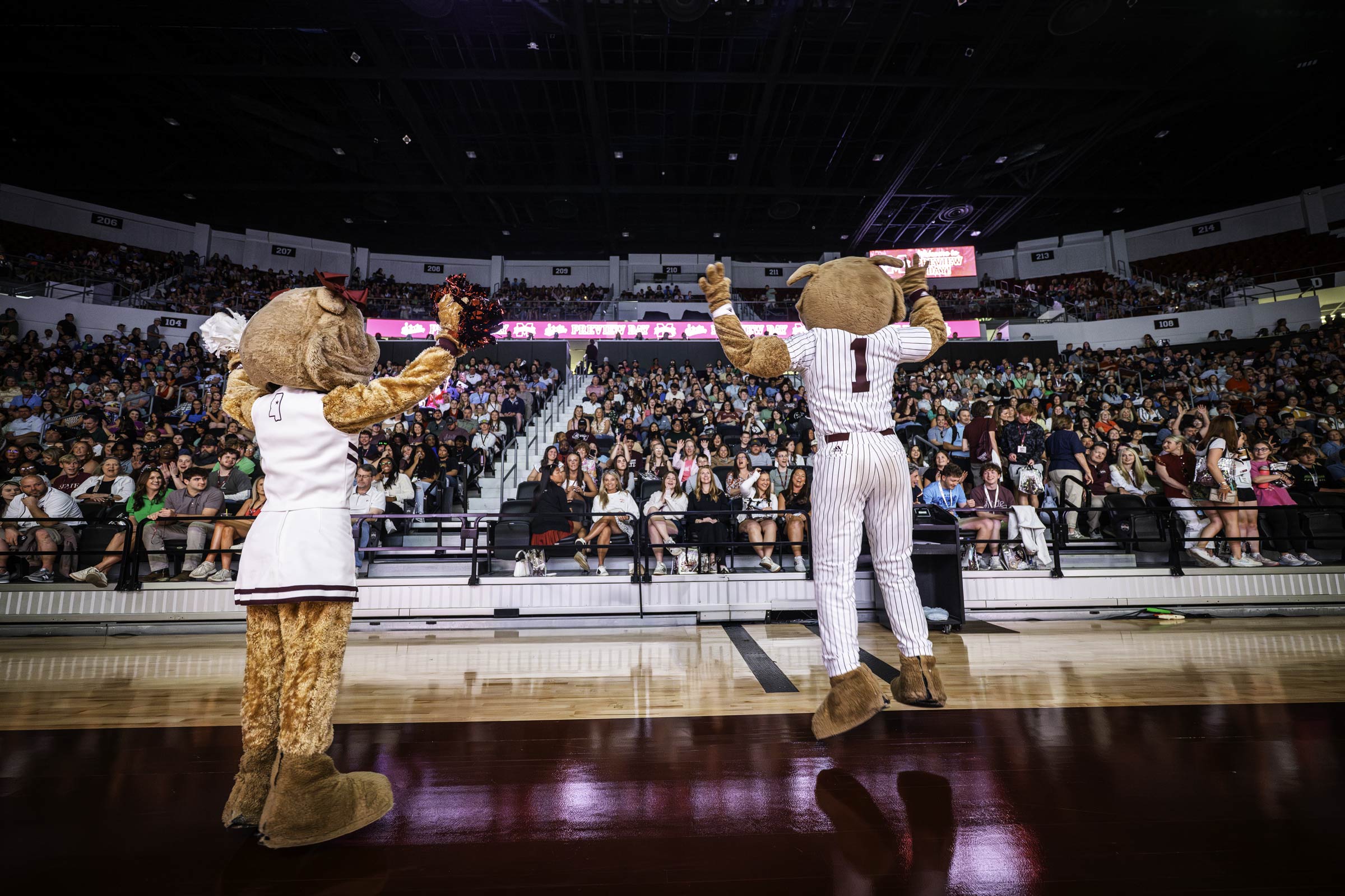 MSU mascots jump with their hands in the air while facing a smiling crowd in a large dimmed basketball arena. The crowd is happy to engage with the entertainment, with a few crowd members mimicking the hands up motions and clapping