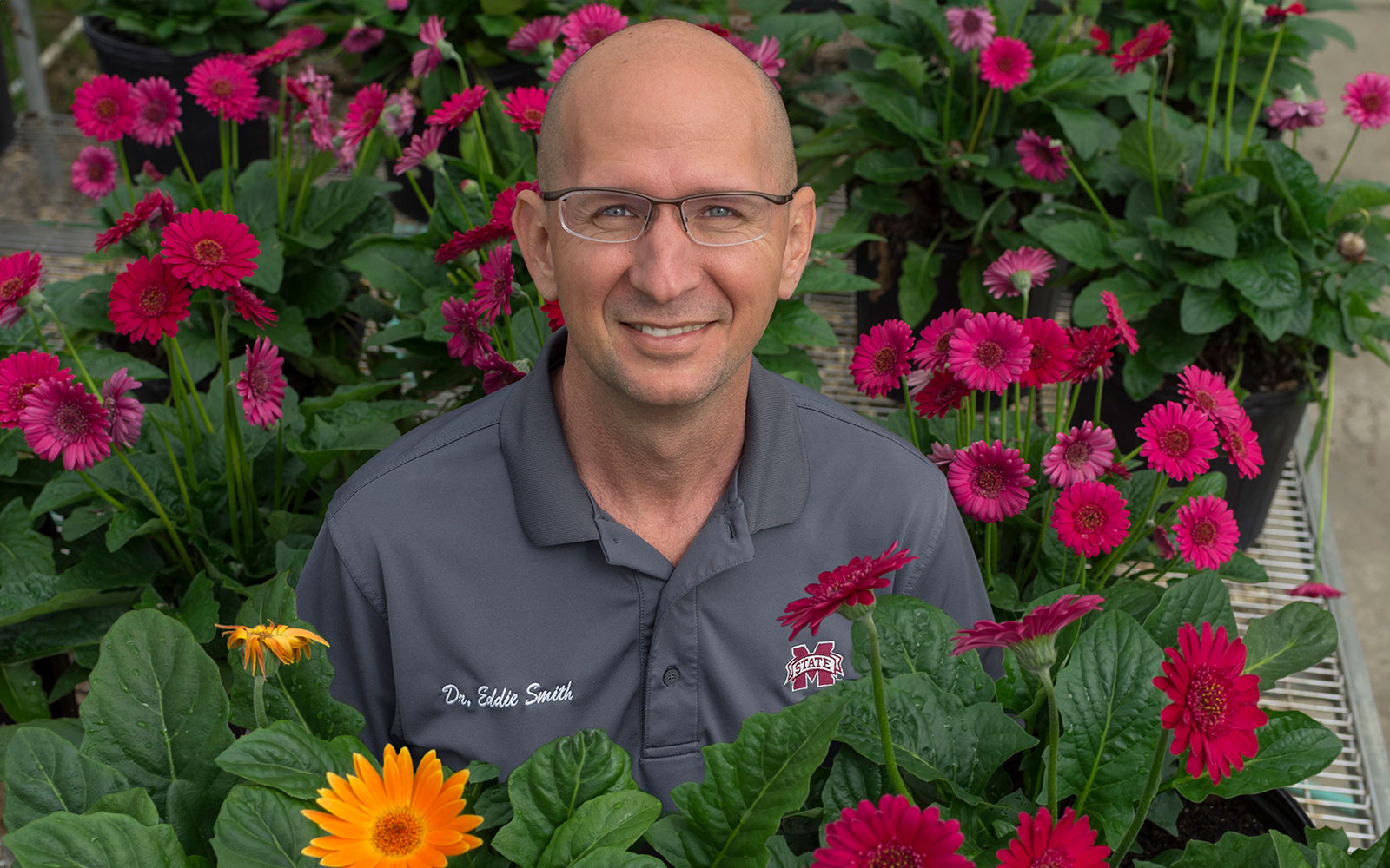 man standing in colorful flower patch