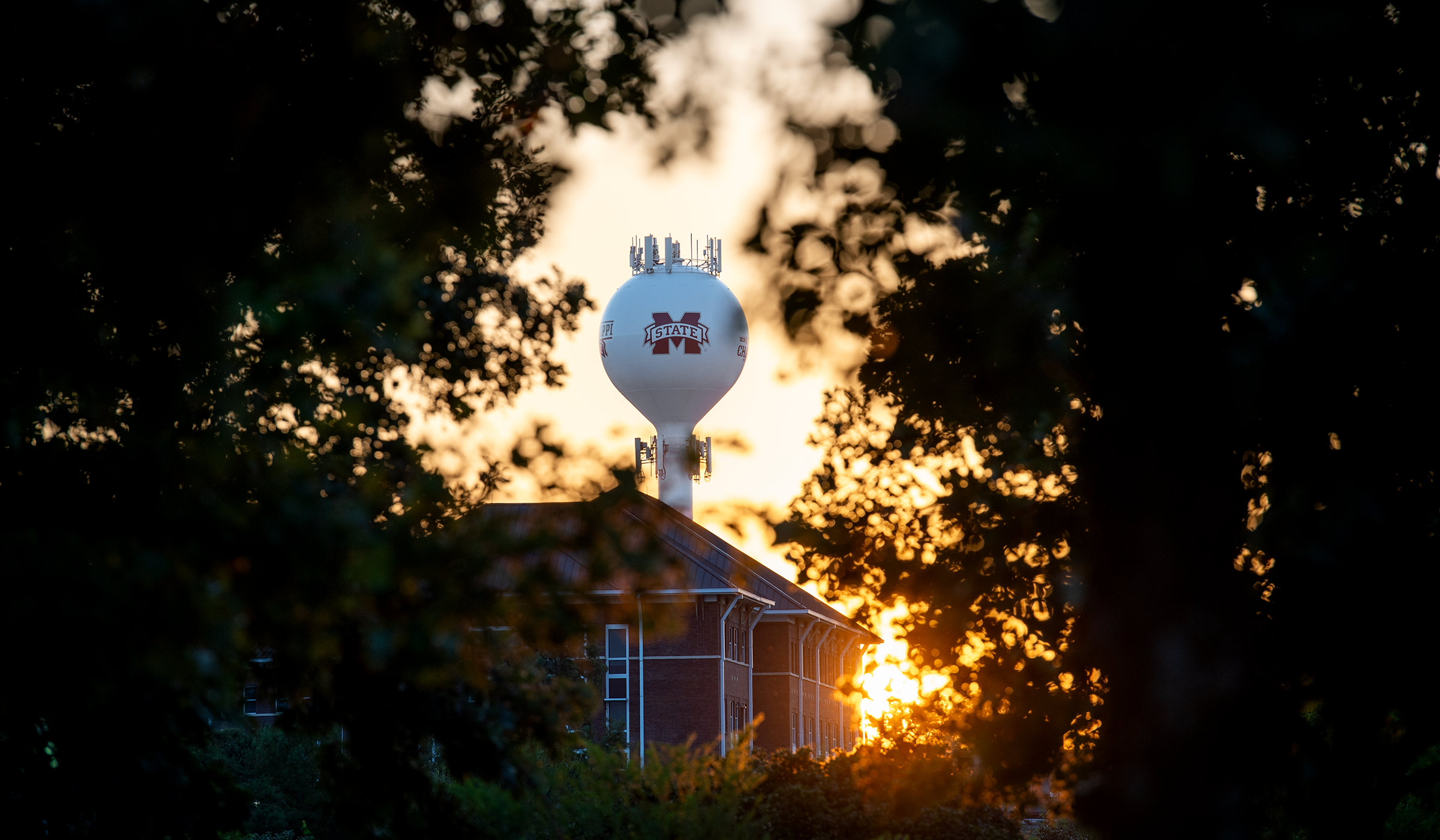 The sun peaks through trees as it sets behind Davenport dormitory on campus.