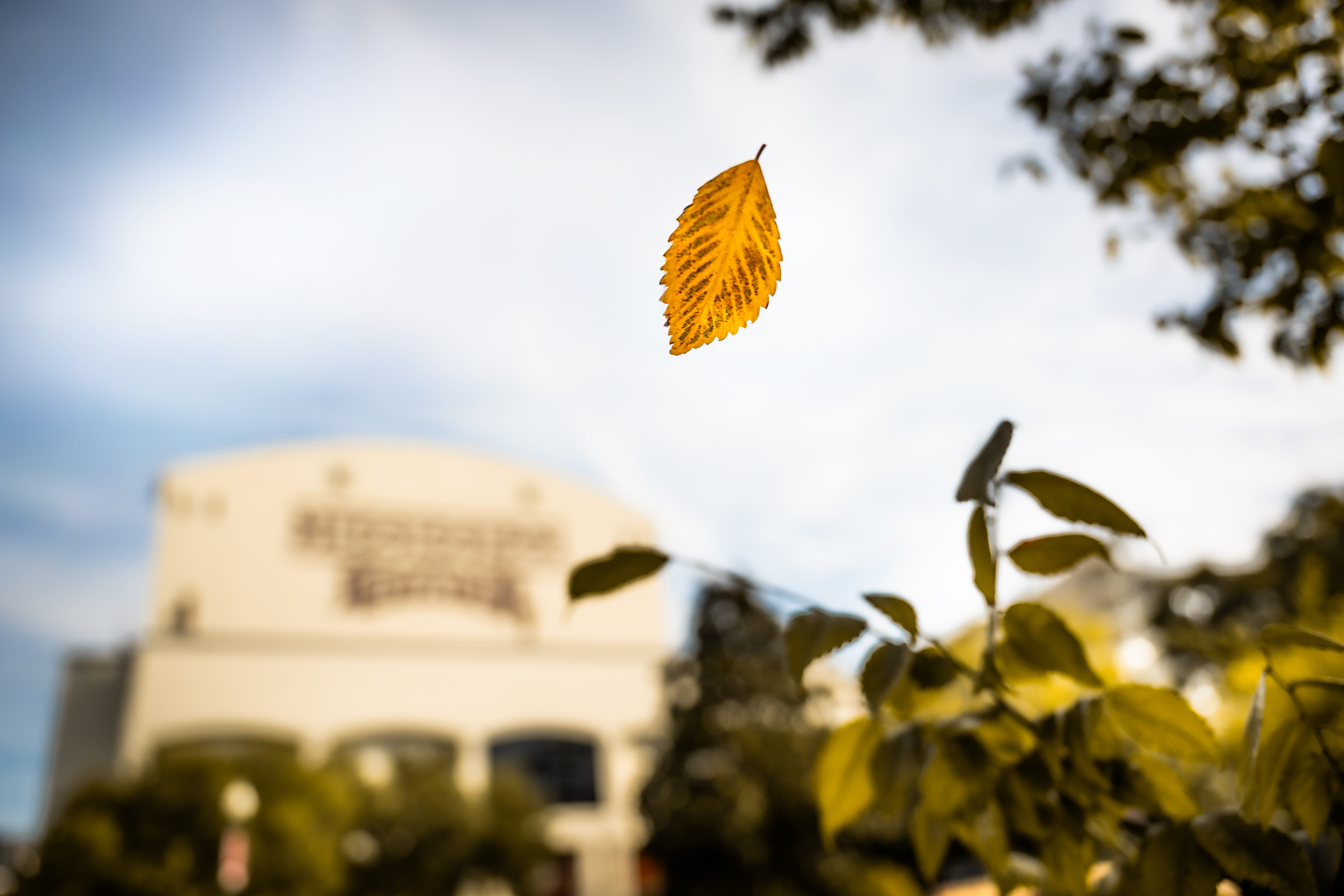 Signs of autumn arrive in the Junction with leaves beginning their transition from green to gold. As students enjoy a well-deserved fall break, [Oct 8-9,] the changing season brings anticipation for more campus traditions, fall festivities and another exciting stretch of the semester.