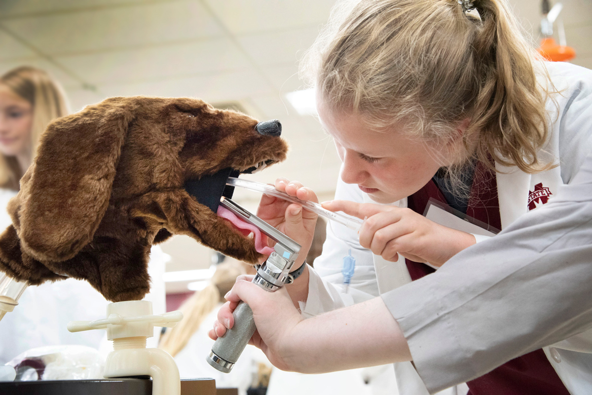 Close-up of a school-age veterinary medicine summer camper, learning how to do intubation on a dog model.