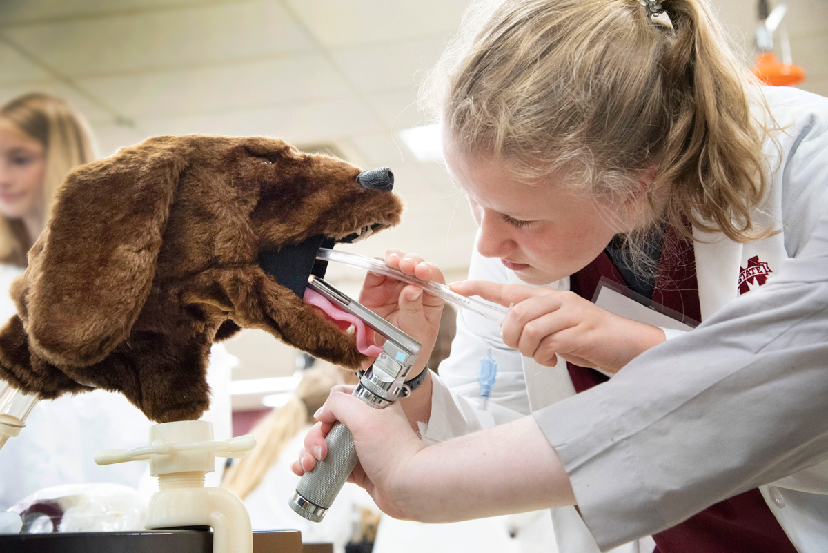 mississippi state vet school tour