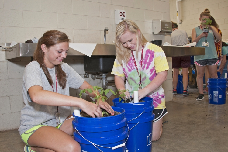 Horticulture Camp - Global Bucket project