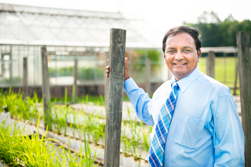 K. Raja Reddy stands outside the university’s R.R. Foil Plant Science Research Center