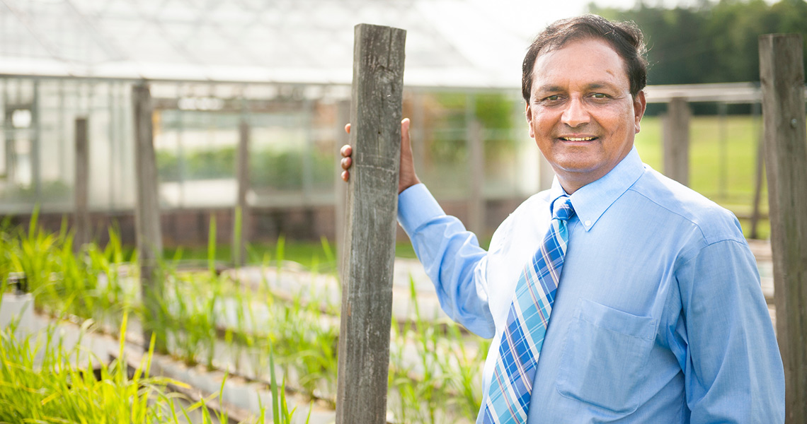 MSU’s Reddy receives 2019 SEC Faculty Achievement Award | Mississippi ...