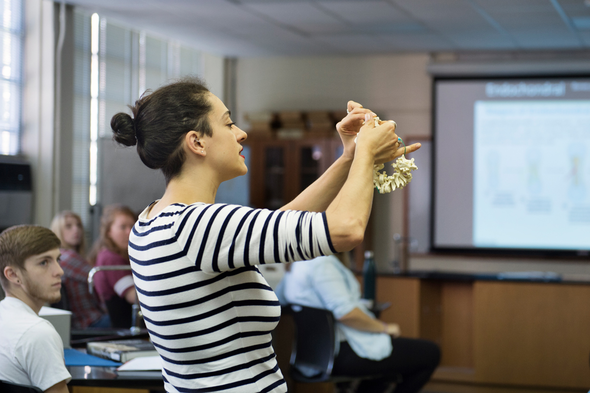 Anthopology Professor Molly Zuckerman shows her anthopology class bones as part of an Osteology class on vertebrae.
