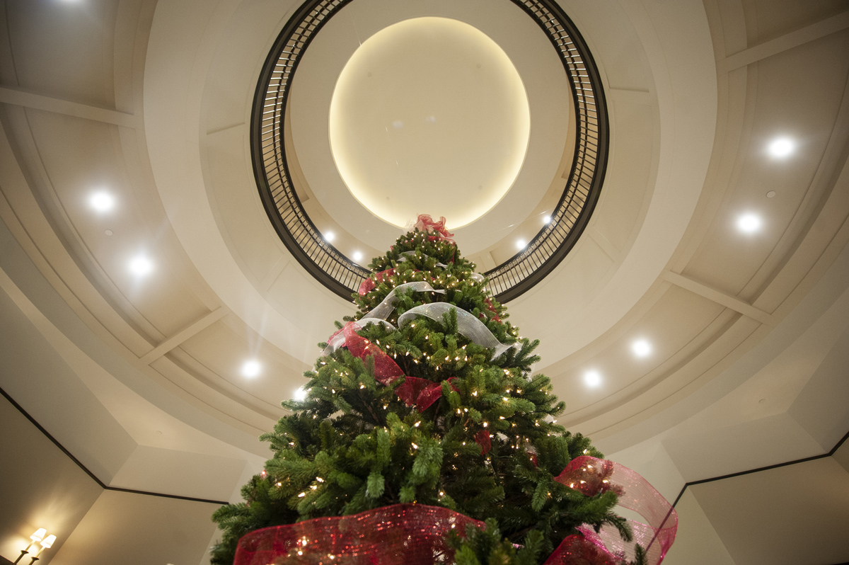 A lit Christmas tree sits in the rotunda at Old Main Academic Building.