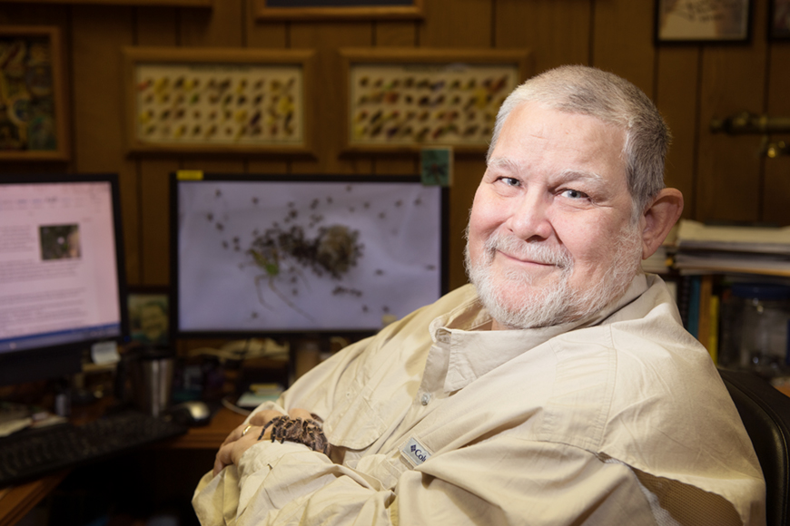John Guyton, with a spider resting on his arm, sits at a desk in his office, with insects hanging on his wall.