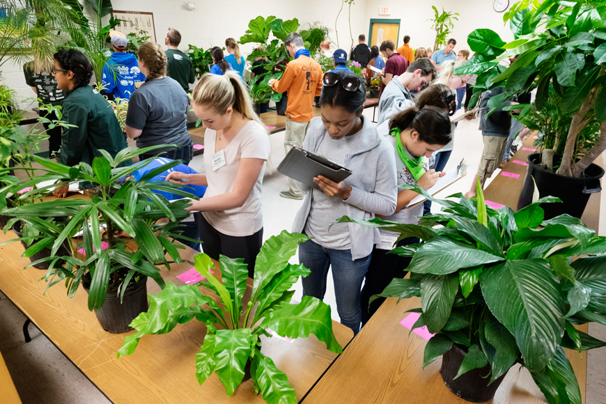 National Collegiate Landscape Competition