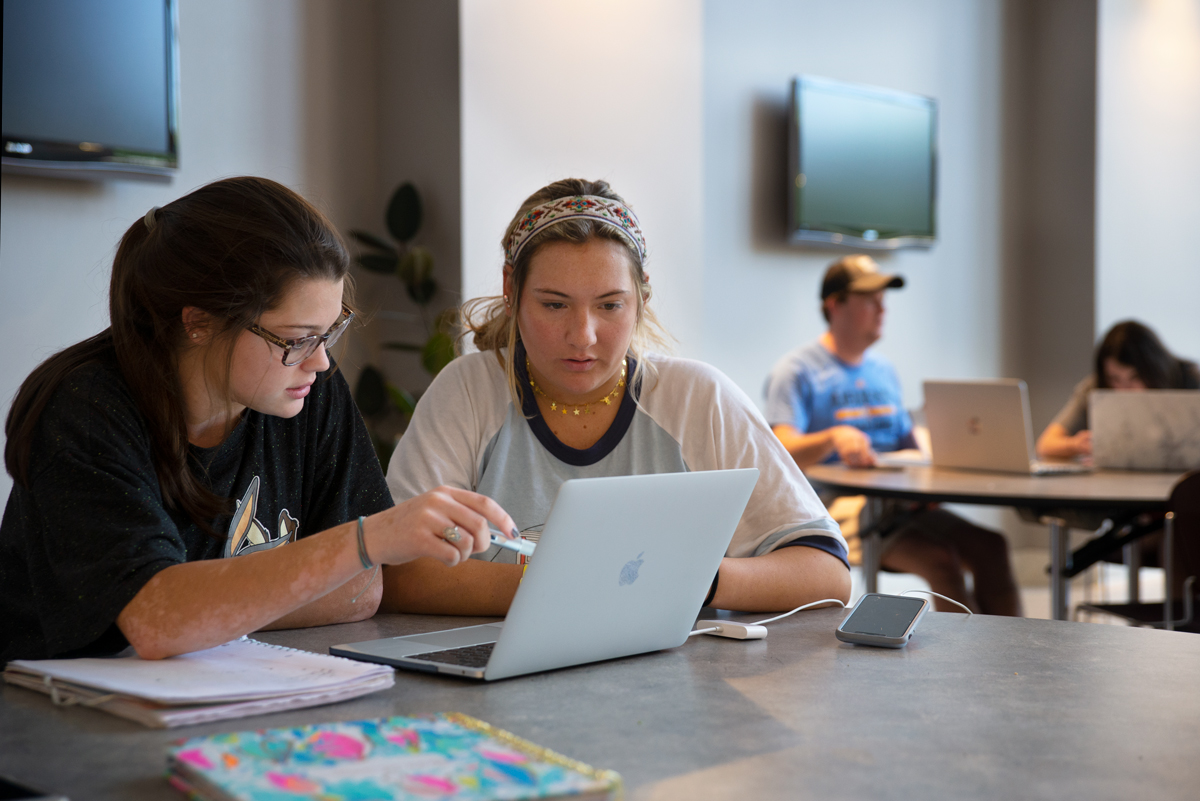 Two students collaborate while studying on a laptop.