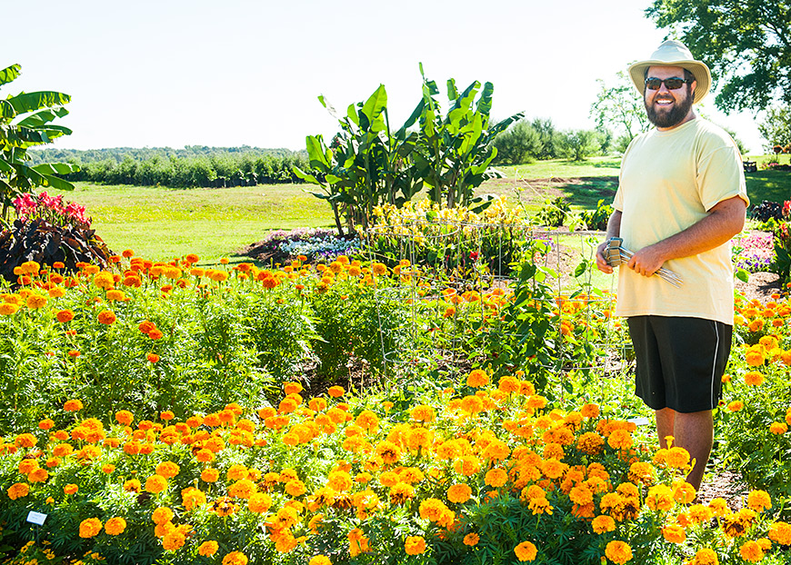 Beautiful Mississippi State Trial Gardens