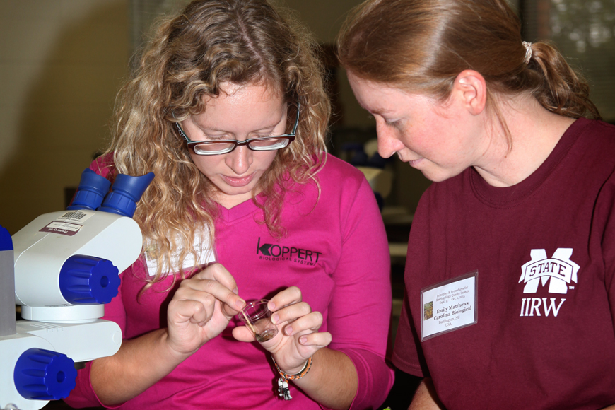 Entomology Insect Rearing Workshop