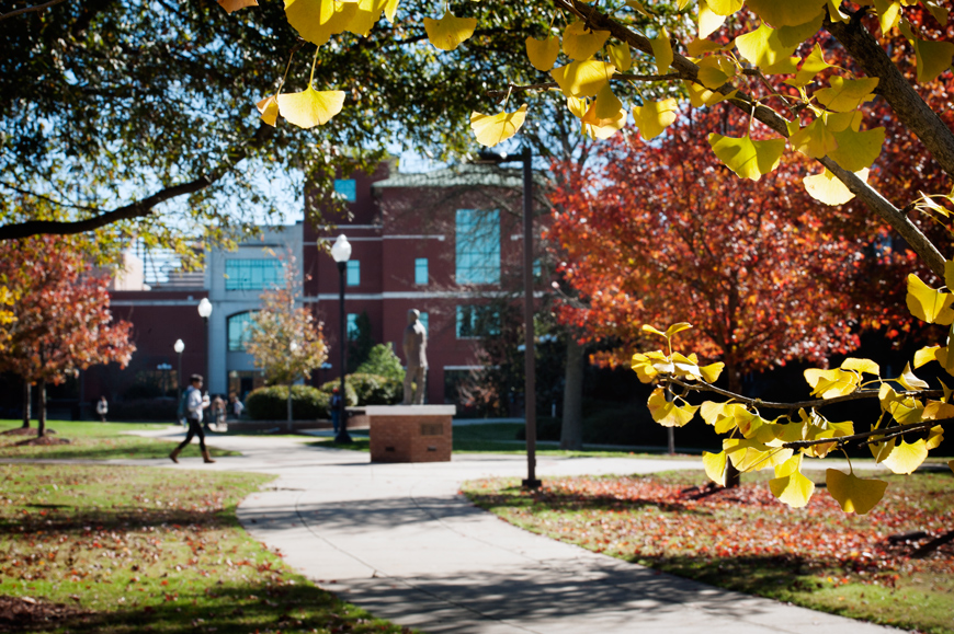 Thanksgiving Break - Fall Leaves