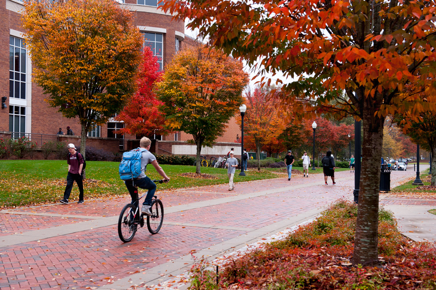 Fall leaves on Old Main Plaza