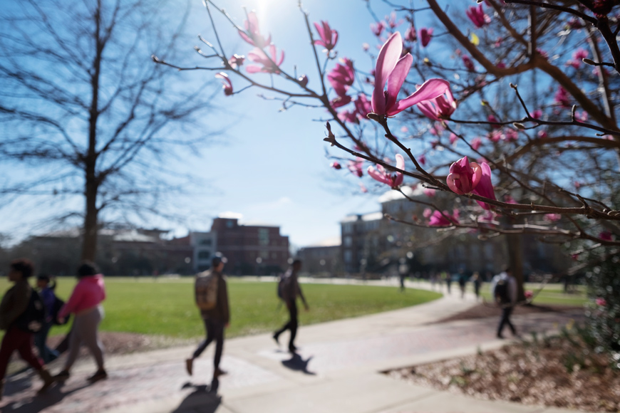 Springtime at MSU