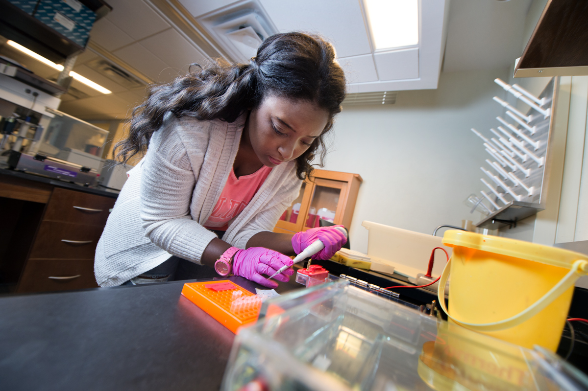 Undergraduate Skyla McElroy works in a lab to prepare gels used in research of bird malaria.