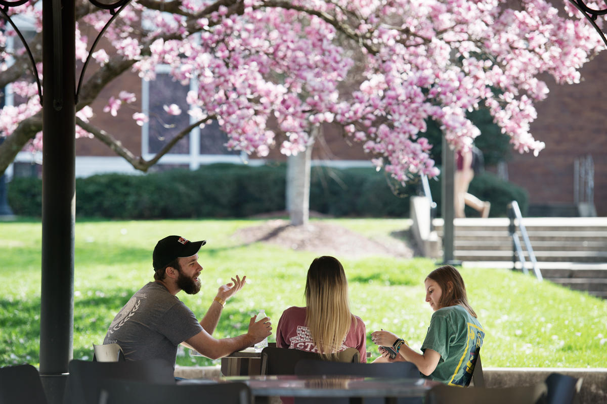 With blossoms of the Japanese Magnolia tree in the background, three students talk at a table under the Pavilion near Moe&amp;#039;s.