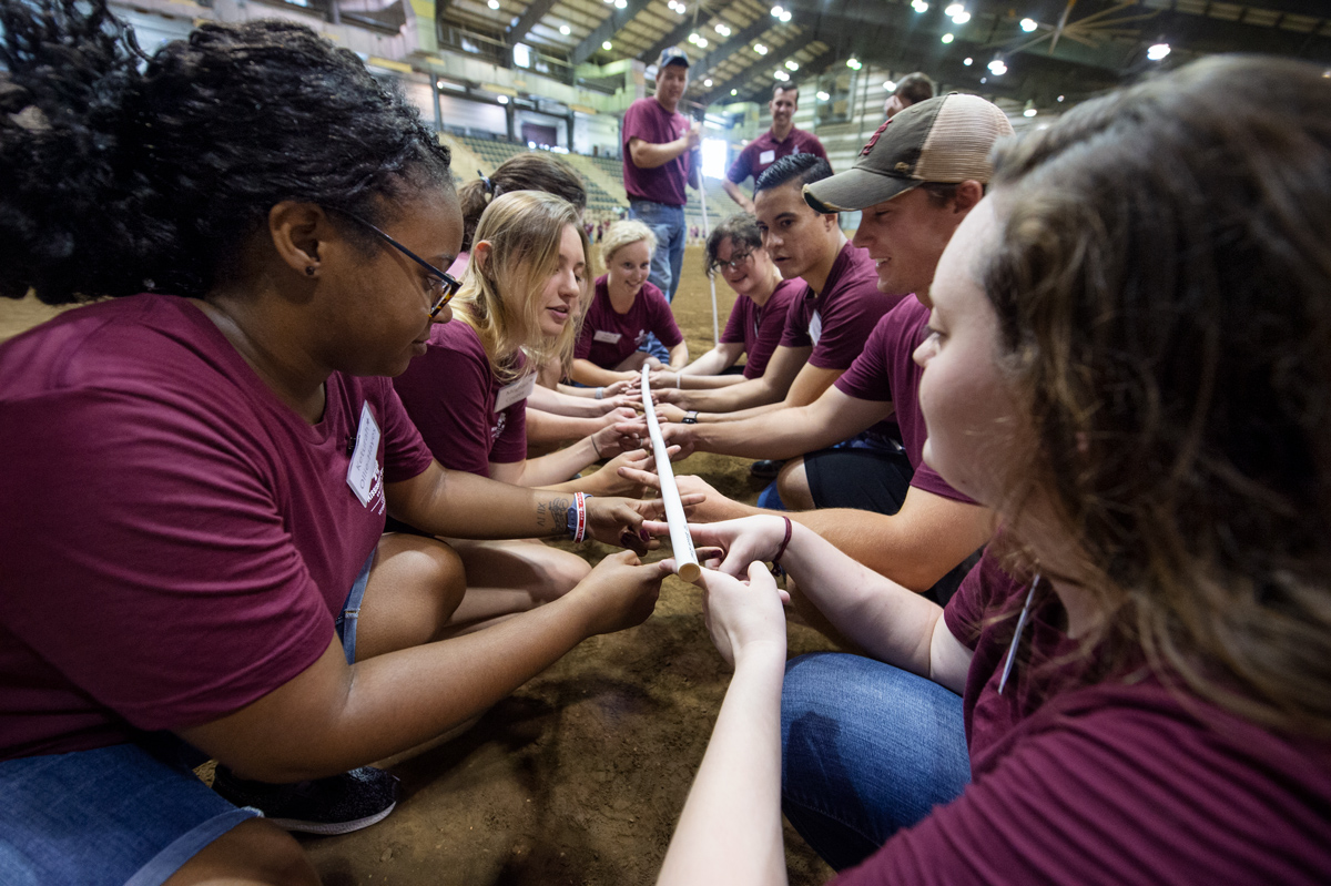 Groups of incoming Veterinary Medicine First Year students work together in ice-breaker games and puzzles in the Horse Park.