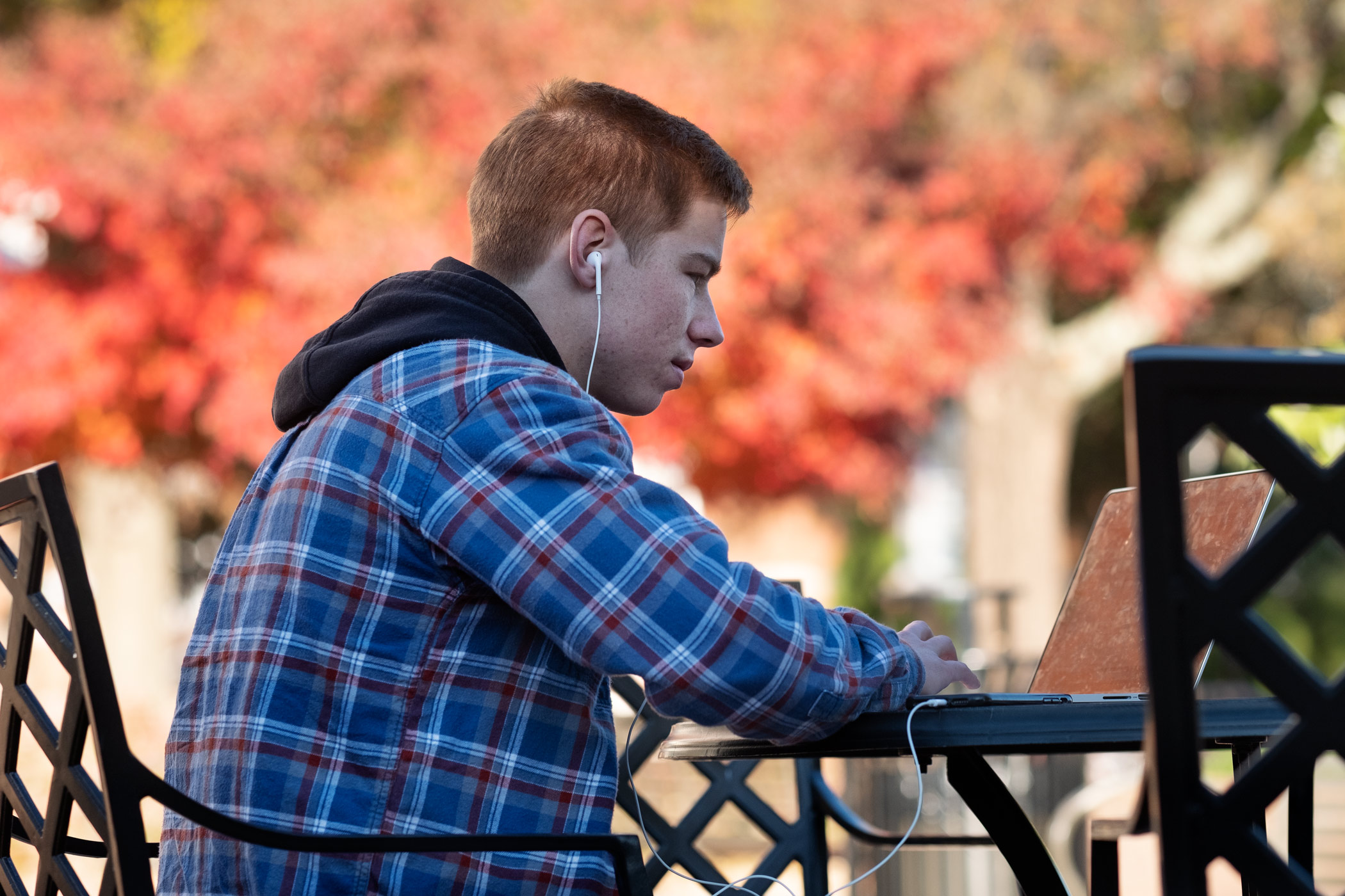 With fall leaves in the background, Senior Communication Major Cameron O&amp;#039;Daniel works on his laptop on an outdoor table.
