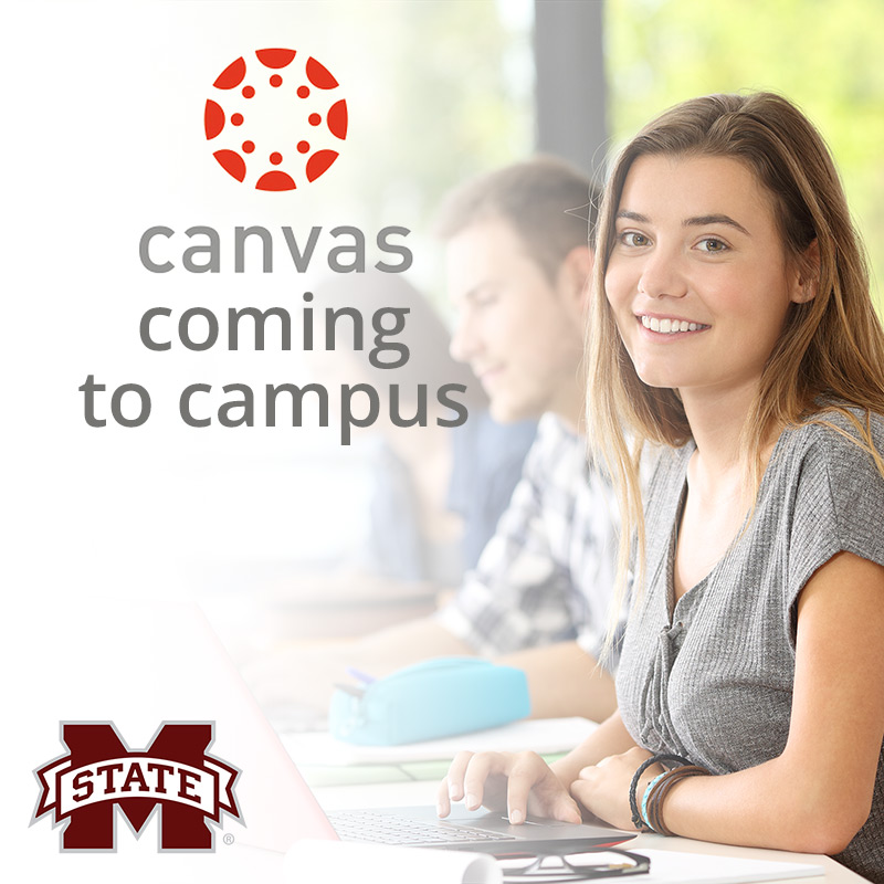 Canvas Learning Management System to take MSU teaching, learning