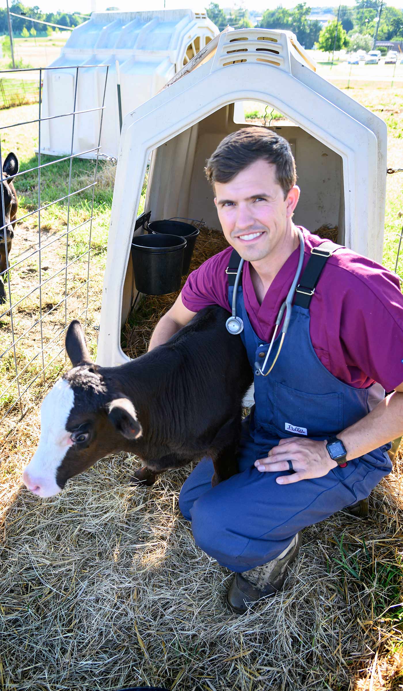 Andrew Cox, pictured with a calf at an MSU facility.