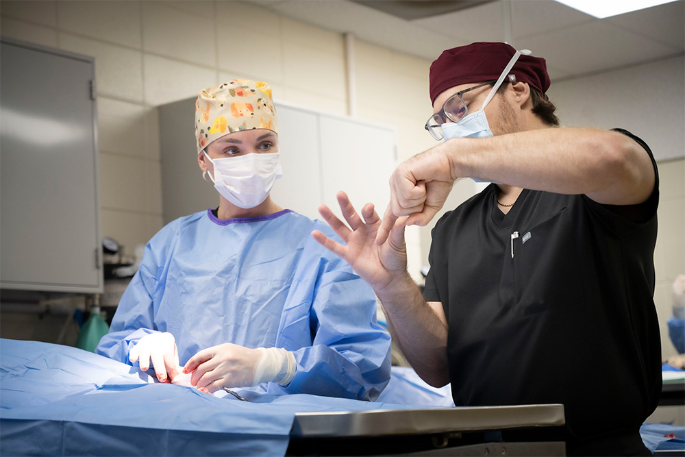 Dr. Jake Shivley gives instruction to a CVM student