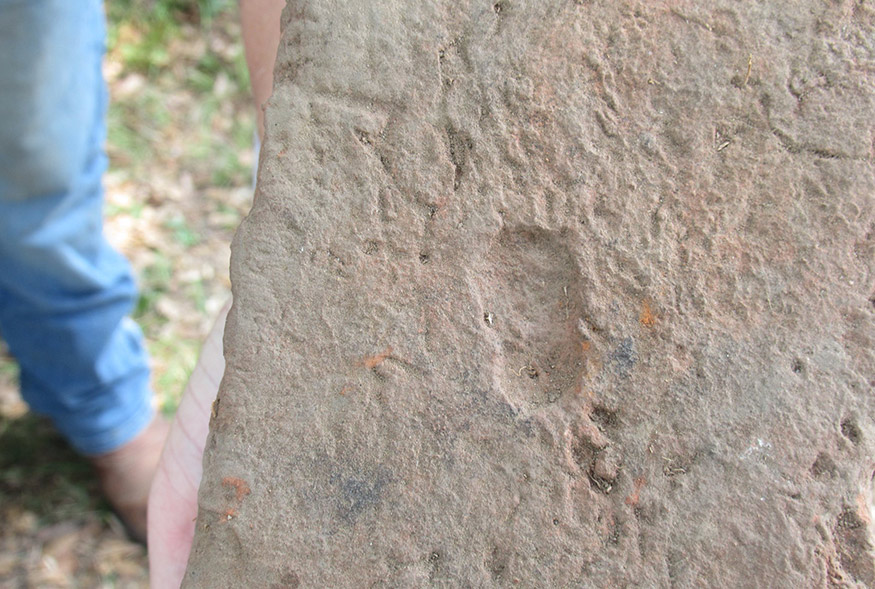 A fingerprint in a brick, likely made by the enslaved person who shaped the clay