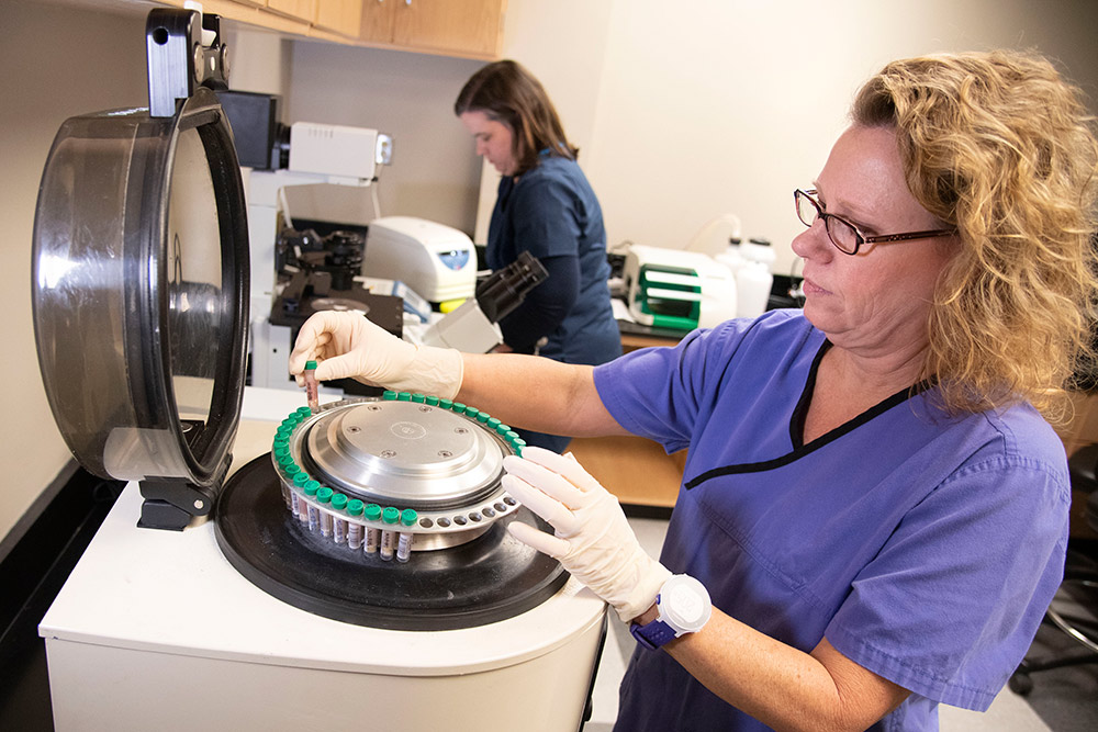 Tina Eichelberger (foreground) and Becky Mackey, laboratory technologists at the Mississippi Veterinary Research and Diagnostic Laboratory located in Pearl, conduct ELISA, or enzyme-linked Immunosorbent assay, tests to analyze deer samples. 