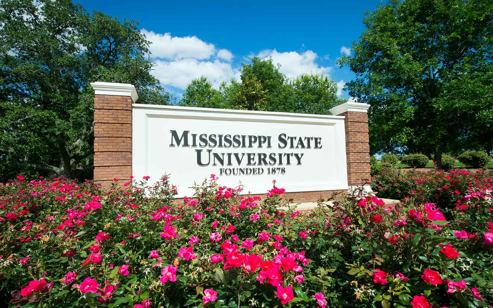 MSU entrance signage