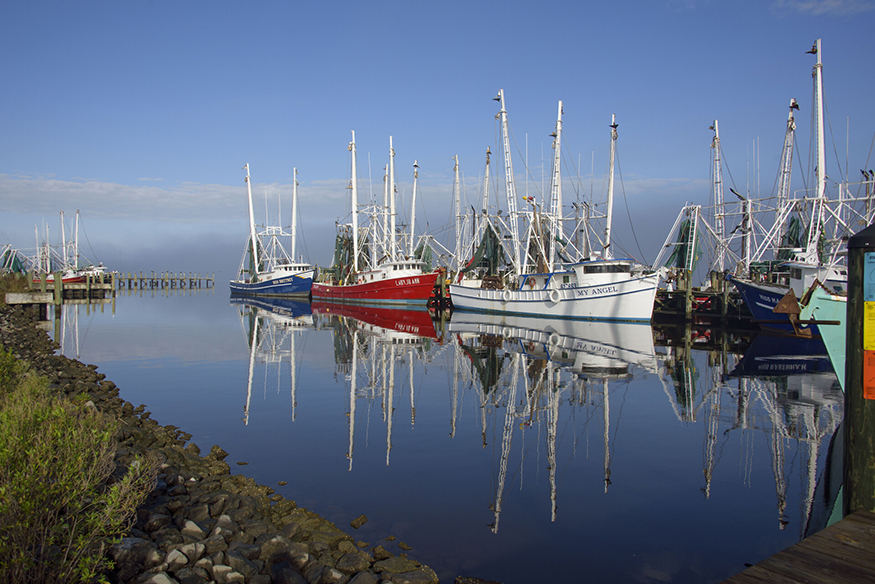 Fishing boats dock in the Mississippi Gulf Coast. As the Bonnet Carré Spillway closes this week, Mississippi State researchers are examining the economic impact of the spillway’s opening on the Gulf Coast seafood industry. (Photo by Kevin Hudson)
