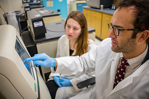 MSU assistant professor Jonas King and fall 2018 graduate Jillian Masters of Marietta, Georgia, look at a gel imaging system used to study DNA and proteins. Masters earned MSU bachelor’s degrees in microbiology and biology and will begin her master’s degree program working in King’s lab this January. Future EMCC transfer students in the Bridges to Baccalaureate program can expect similar research experiences. (Photo by David Ammon)