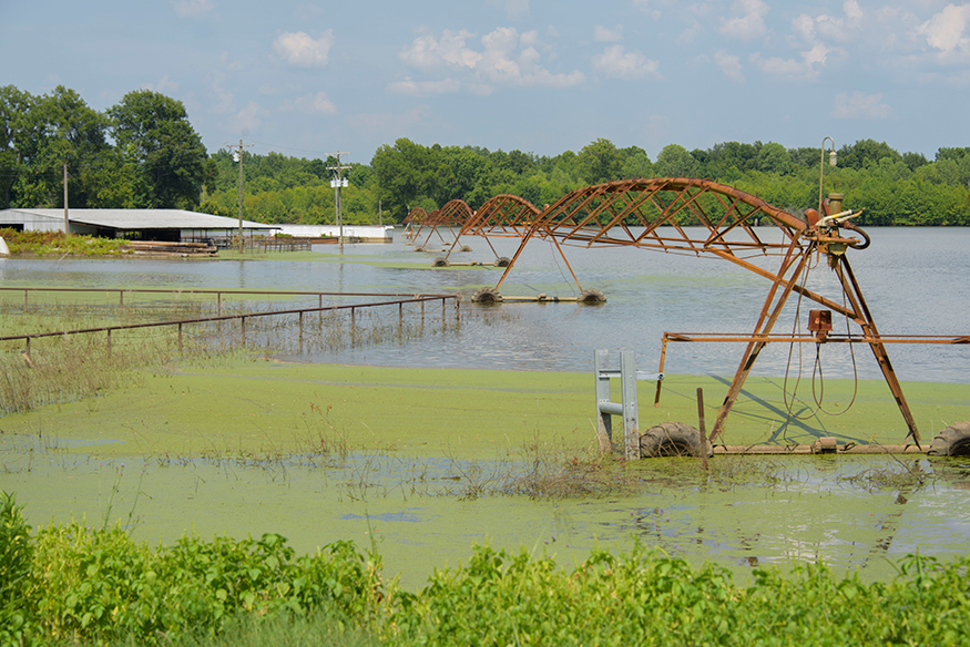Backwater flooding in the south Mississippi Delta (Photo by Kevin Hudson)