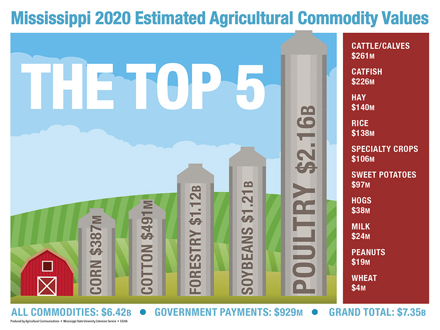 A chart showing Mississippi's top agricultural commodities