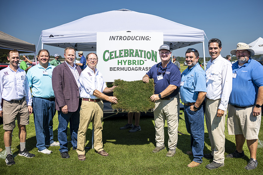 MSU and Sod Solutions representatives display their new Celebration Hybrid Bermudagrass