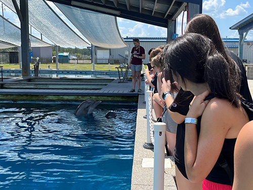 Participants in MSU’s Research Experience for Undergraduates program view dolphins during a tour of the Institute for Marine Mammal Studies in Gulfport. 