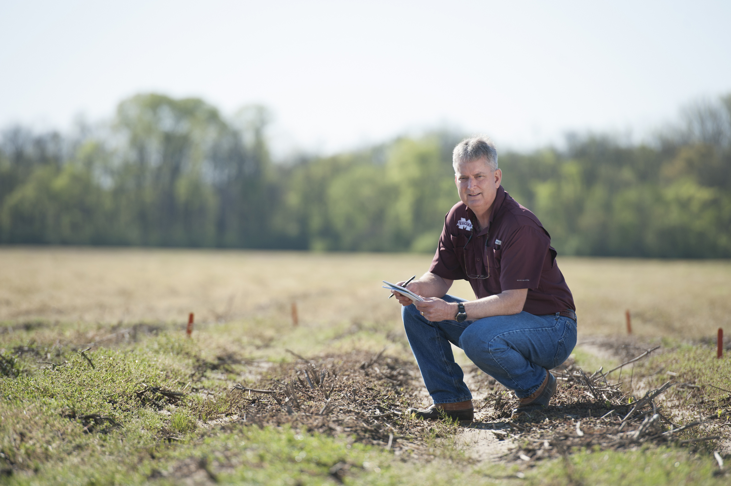 Dan Reynolds, MSU weed science professor, has been selected to hold the Edgar E. and Winifred B. Hartwig Endowed Chair in Soybean Agronomy. 