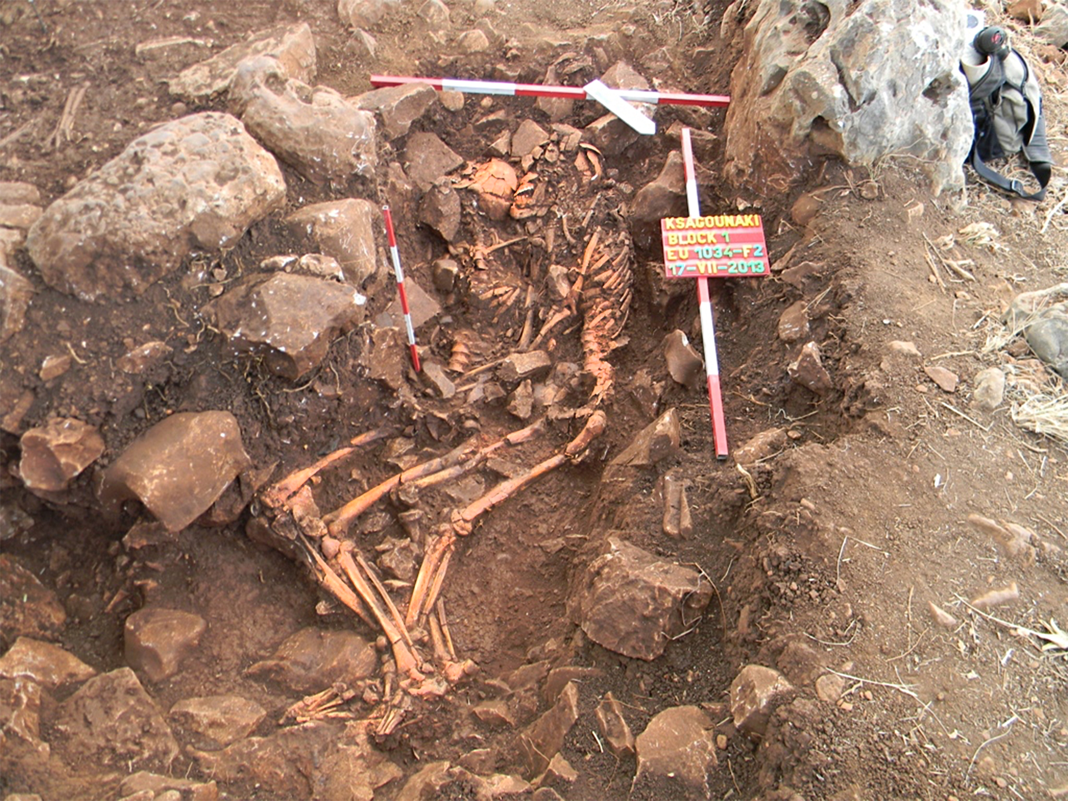 A rare ancient Greek gravesite containing two intertwined corpses was discovered by an international team that included Michael Galaty, head of Mississippi State University's anthropology and Middle Eastern cultures department. 