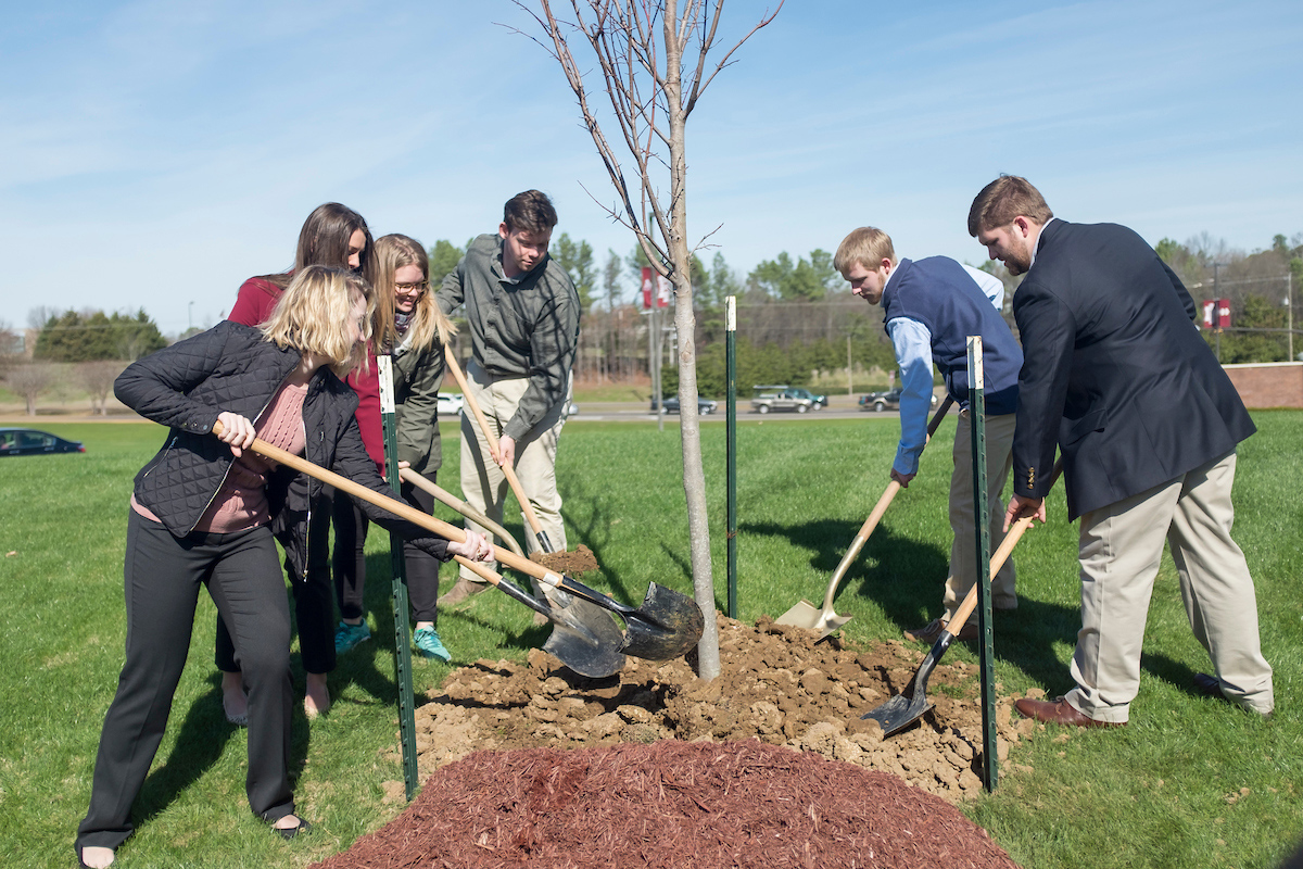 Students planting a tree.