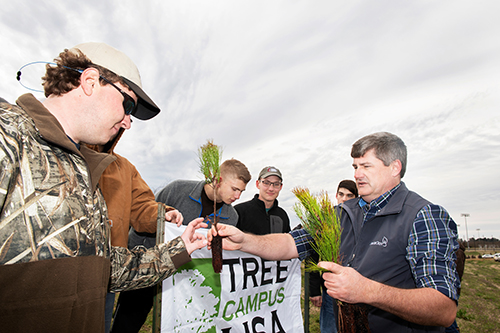 MSU forestry alumnus Paul Jeffreys, right, distributes pine seedlings donated by ArborGen to students helping with a tree planting during the university’s Arbor Day celebration Friday [Feb. 8]. (Photo by Beth Wynn)