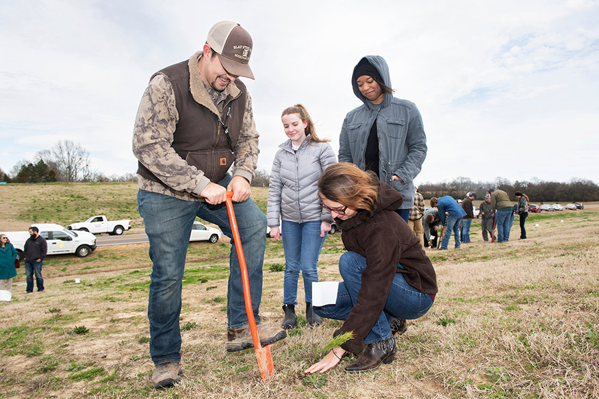 Isabella Durham, an MSU senior wildlife, fisheries and aquaculture major from Prattville, Alabama, holds a seedling in place as senior forestry major Grant Hartman of Collinsville shovels the planting in place. Looking on are Allison Berger, junior natural resource and environmental conservation major from Jonesboro, Arkansas, and Murry Burgess, senior wildlife, fisheries and aquaculture major from Southaven. (Photo by Beth Wynn)