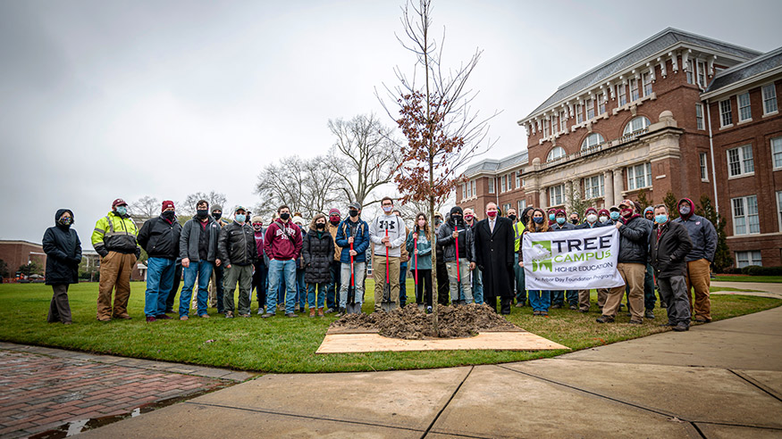 A group of more than 30 people gather around a newly planted tree on MSU's Drill Field.