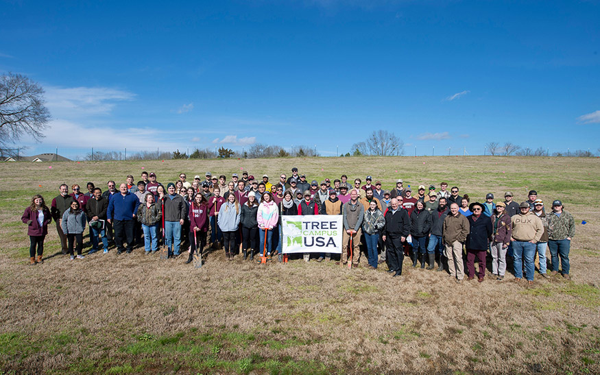 A large group is gathered on a grassy bank along Hail State Boulevard around a Tree Campus USA banner.