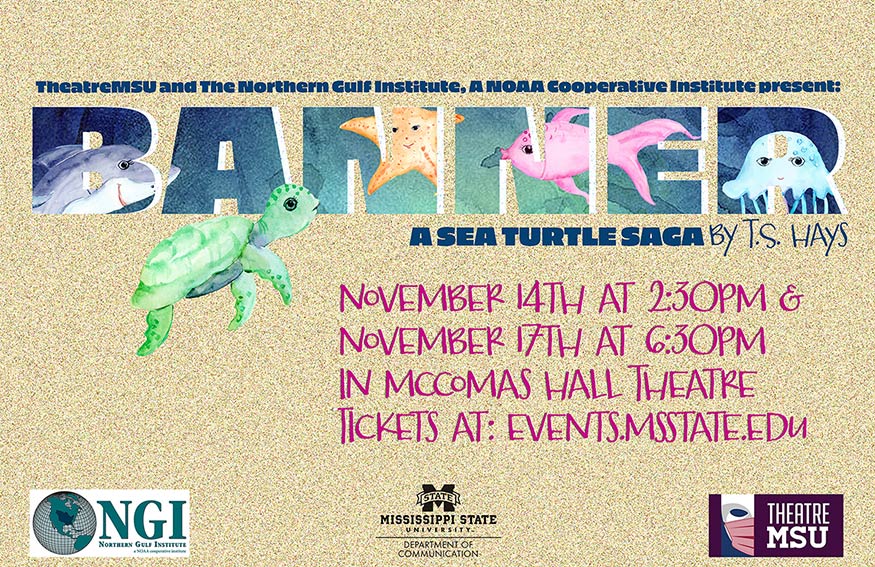 Banner--A Sea Turtle Saga promotional poster